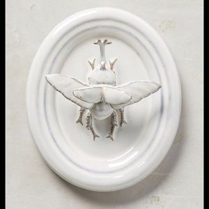 ISO Anthropologie Entomologist Wall Bust